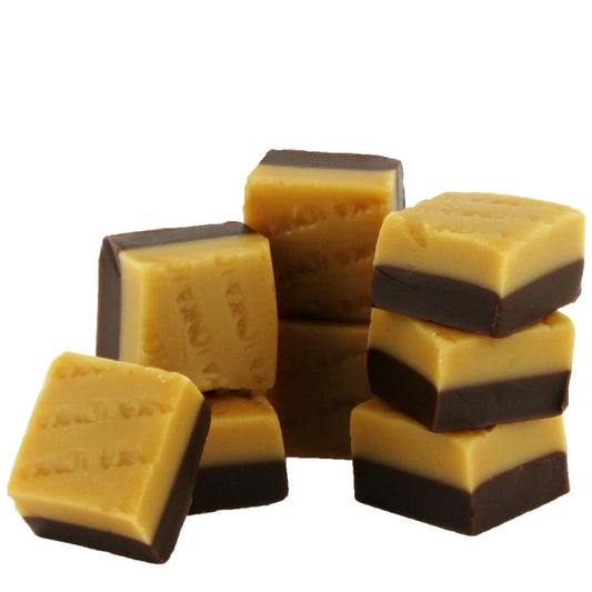 Caramel fudge  vanille/chocolat x5