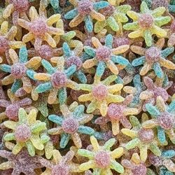 Mix Animaux – Bonbons Gélifiés Halal Assortis – Confiserie de Louise – 500g / 1kg