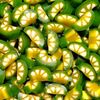 Tranches de citron 100 gr